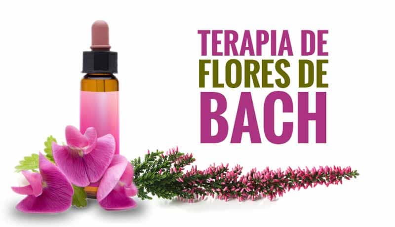 ¿Es más fácil de digerir que la leche común? ¿Debemos optar por tomarla aunque no seamos intolerantes a la lactosa? ¿Aporta algún beneficio a nuestra salud? Éstas y otras preguntas, respondidas en este artículo.